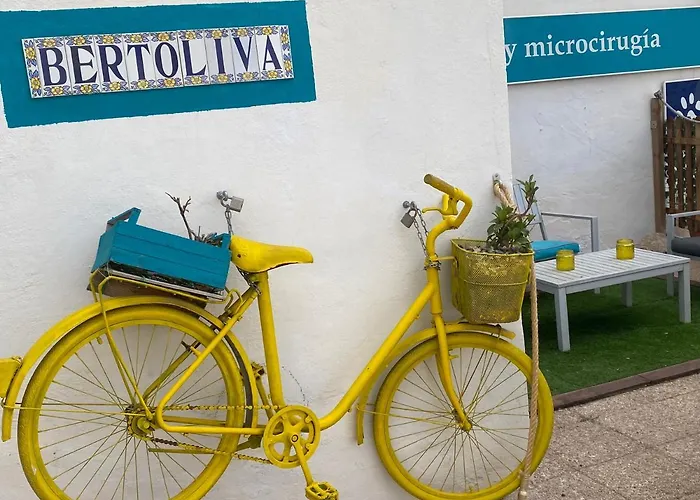 Bertoliva
