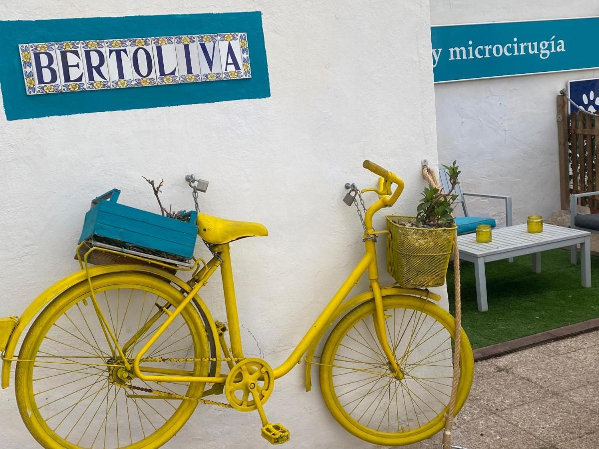 Appartement Bertoliva *
